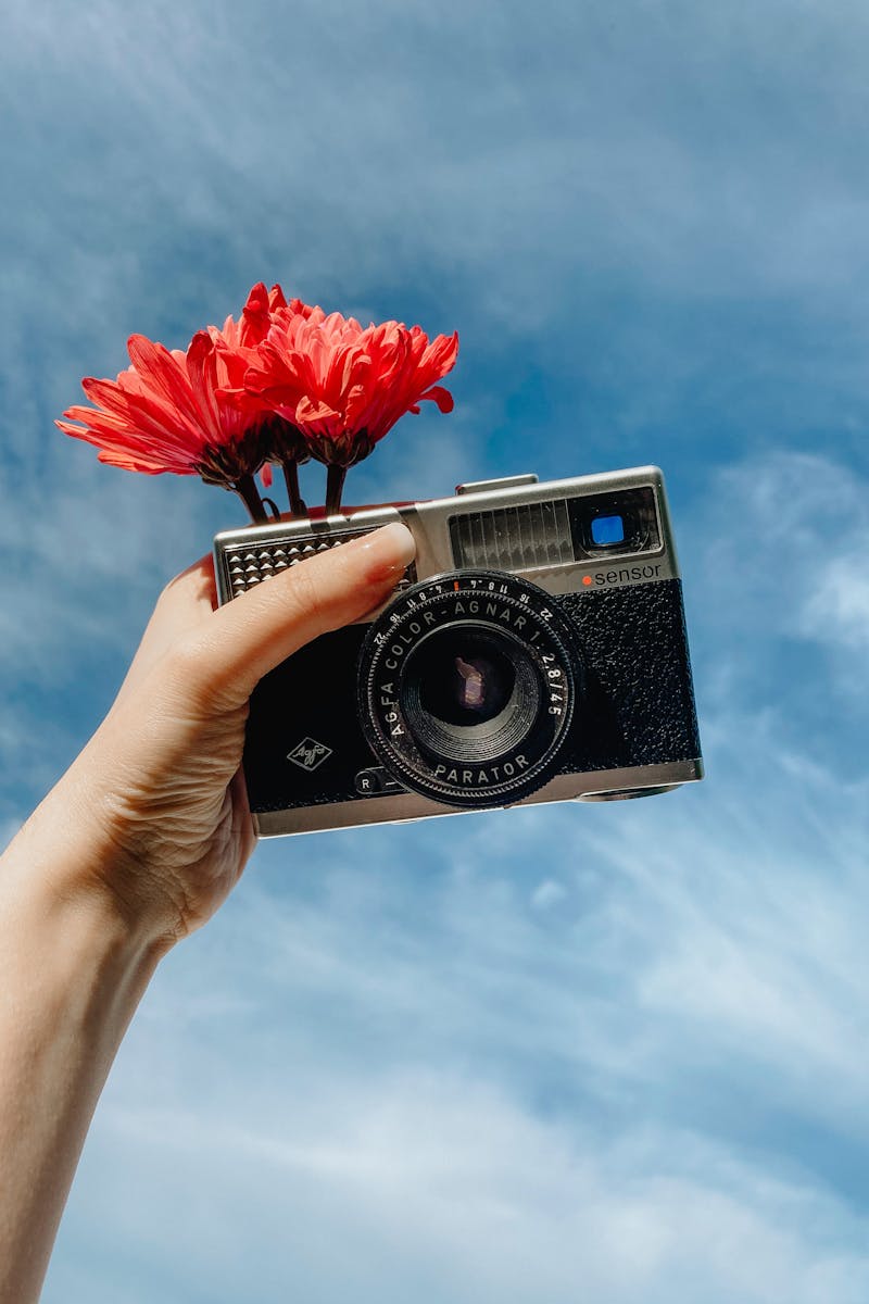 From below crop anonymous female photographer holding vintage photo camera with blooms against sky