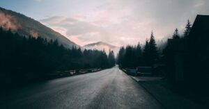 Black road surrounded by pine trees