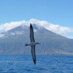Tristan da Cunha - UKOTA